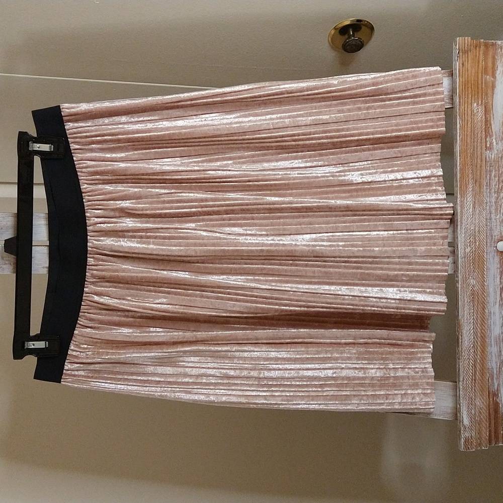 Pleated A-line Skirt, Size Large